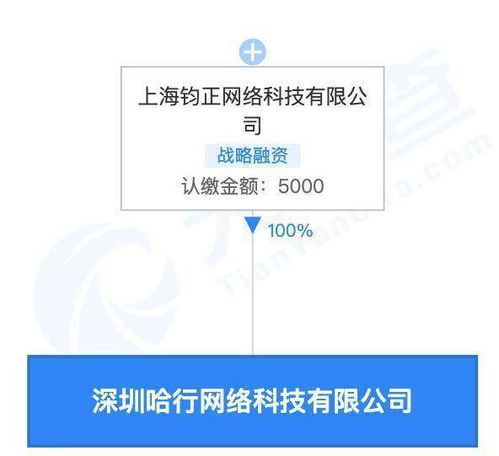 哈啰關聯公司在深圳設立新公司，拓展旅游與住宿服務